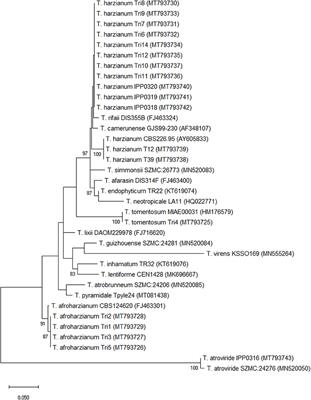 Trichoderma Afroharzianum Ear Rot–A New Disease on Maize in Europe